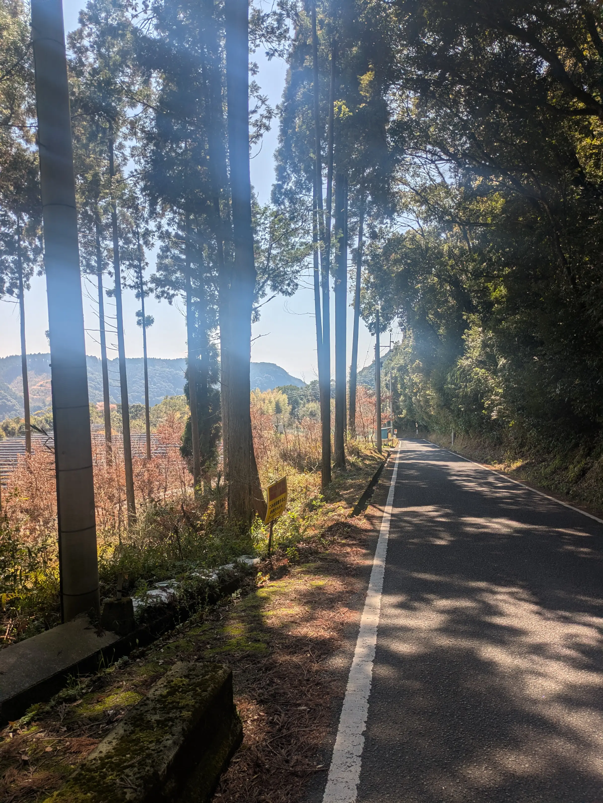 ResizedImage_2026-03-20_19-34-43_6317