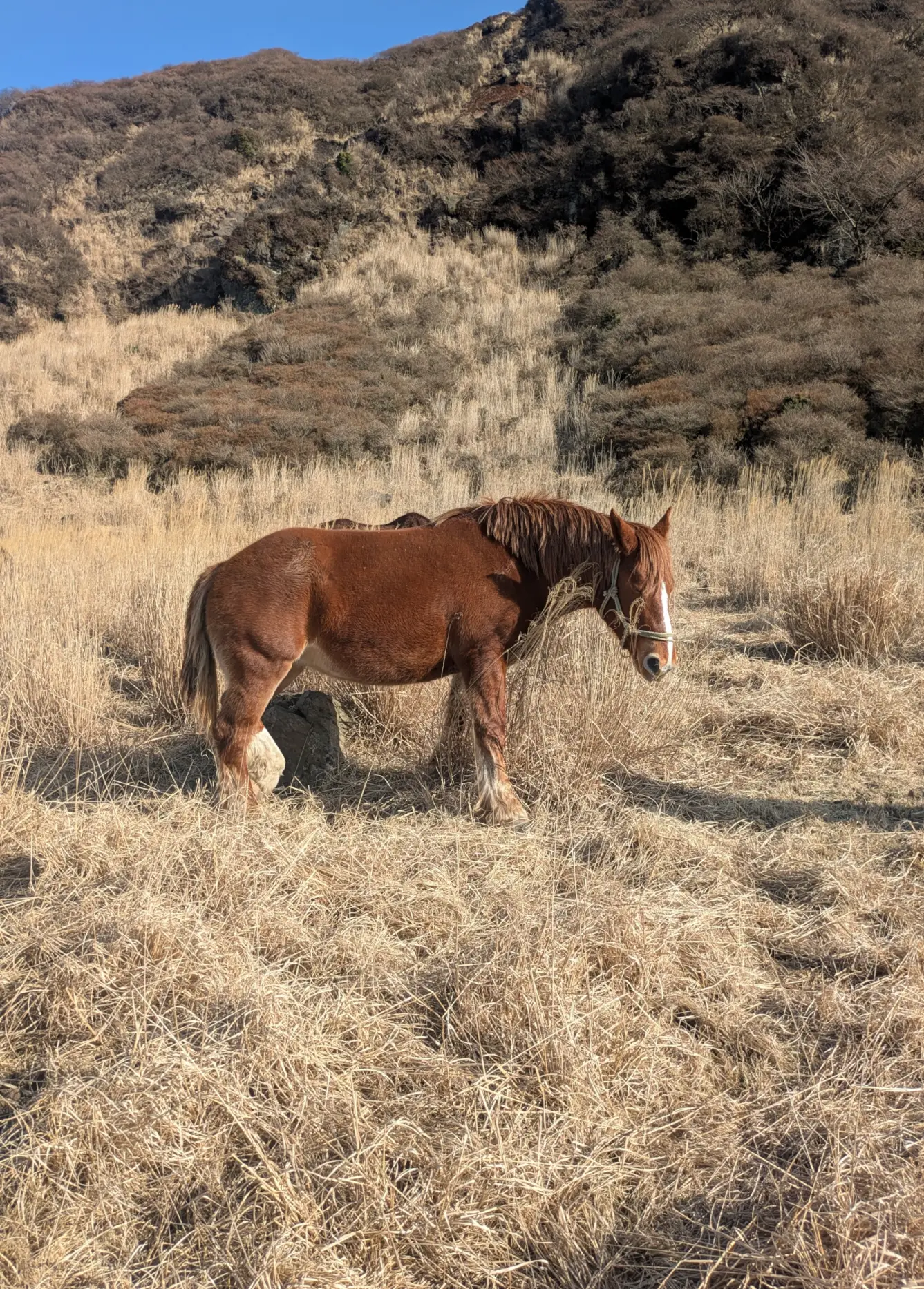 ResizedImage_2026-03-06_09-51-31_0873