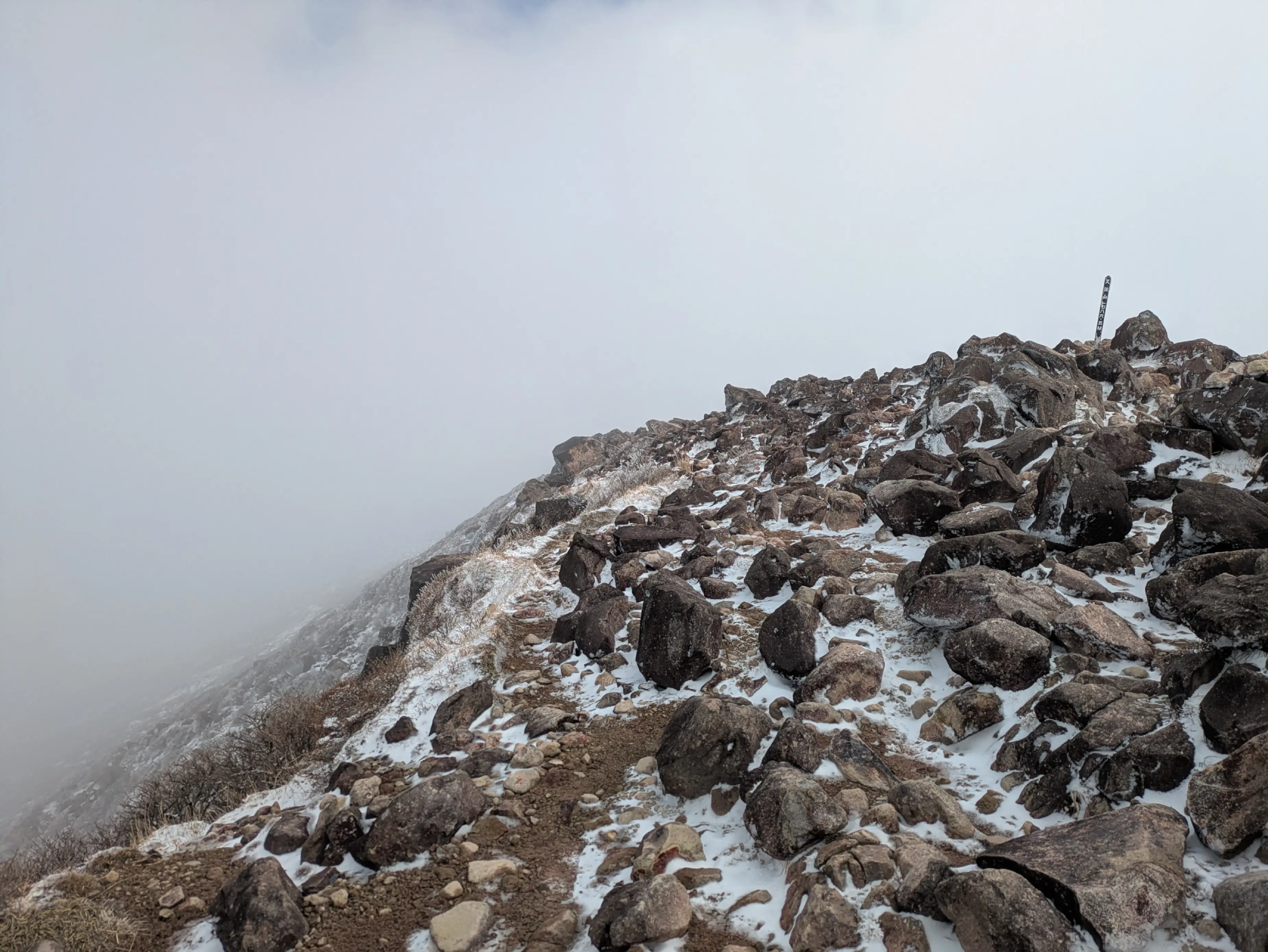 ResizedImage_2026-03-07_14-32-06_9722